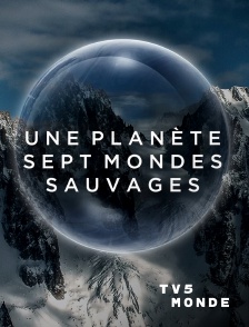 TV5MONDE - Une planète, sept mondes sauvages