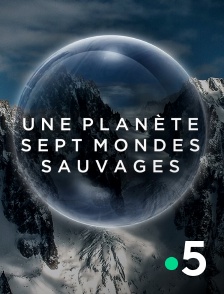 France 5 - Une planète, sept mondes sauvages