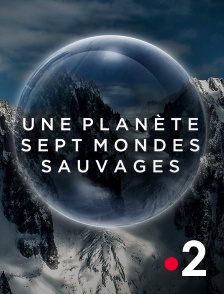 France 2 - Une planète, sept mondes sauvages