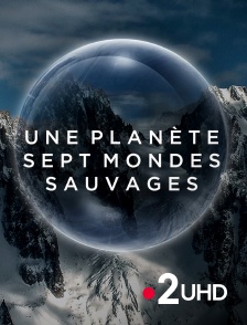 France 2 UHD - Une planète, sept mondes sauvages
