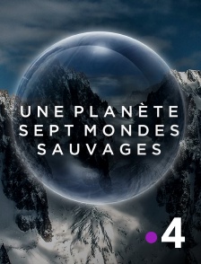 France 4 - Une planète, sept mondes sauvages