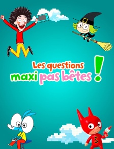 Les questions maxi pas bêtes