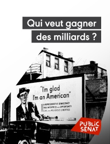 Public Sénat - Qui veut gagner des milliards ?
