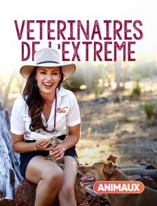 Australie, vétérinaires de l'extrême