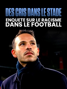 Des cris dans le stade, enquête sur le racisme dans le football