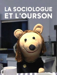 La sociologue et l'ourson