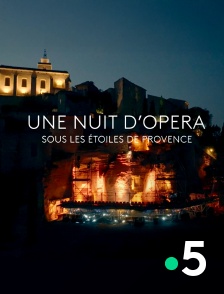 France 5 - Une nuit d'opéra sous les étoiles de Provence