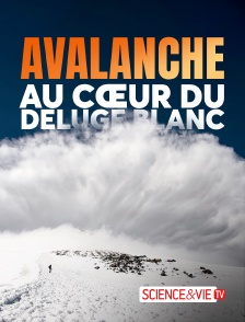 Science et Vie TV - Avalanche, au coeur du déluge blanc