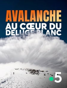 France 5 - Avalanche, au coeur du déluge blanc