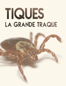 Tiques, la grande traque