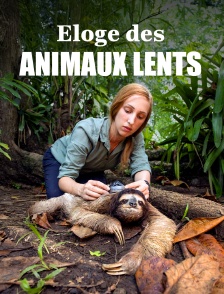 Eloge des animaux lents
