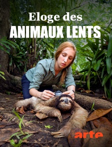 Arte - Eloge des animaux lents