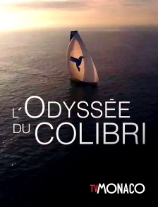 TV Monaco - L'odyssée du colibri