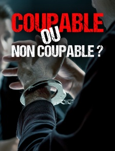 Coupable ou non coupable ?