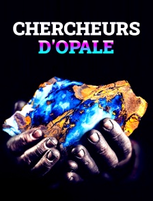 Chercheurs d'Opale
