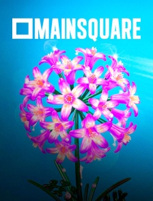 Main Square Festival 2024