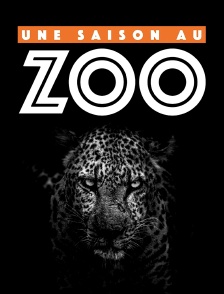 Une saison au zoo
