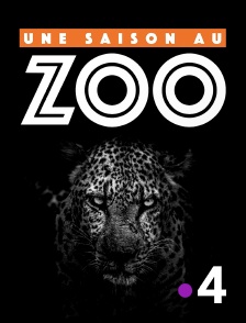 Une saison au zoo