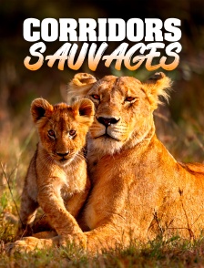 Corridors sauvages
