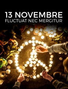13 novembre : Fluctuat Nec Mergitur