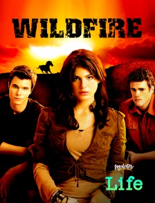 Wildfire