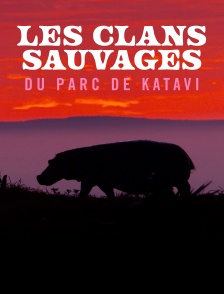 Les clans sauvages du parc de Katavi