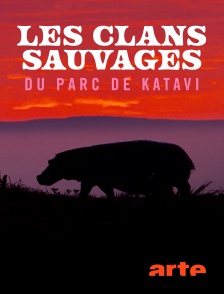 Arte - Les clans sauvages du parc de Katavi
