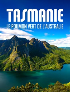 Tasmanie : Le poumon vert de l'Australie