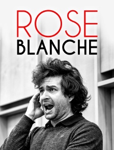 Rose blanche