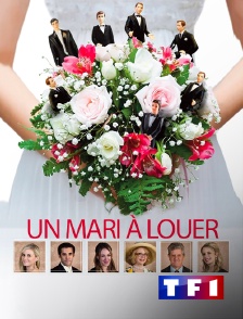 TF1 - Un mari à louer