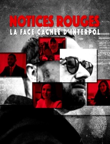 Notices rouges. La face cachée d'Interpol