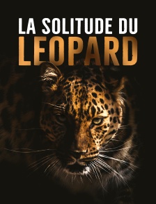 La solitude du léopard