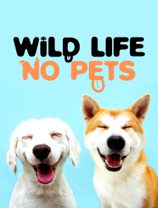 Wild life, no pets