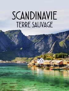 Scandinavie, terre sauvage