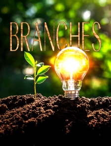 Branchés