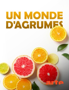 Arte - Un monde d'agrumes