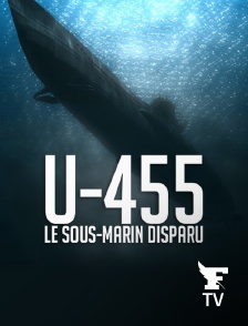 Le Figaro TV Île-de-France - U-455, le sous-marin disparu