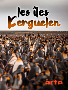 Arte - Les îles Kerguelen : Aux confins du monde