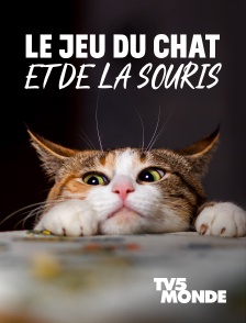 Le jeu du chat et de la souris