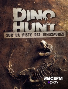 Sur la piste des dinosaures