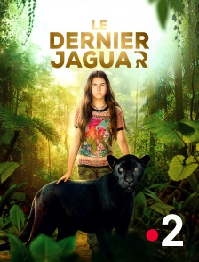 France 2 - Le dernier jaguar
