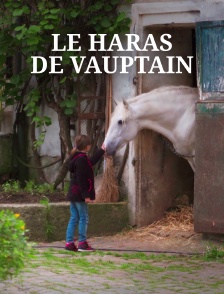 Haras de Vauptain