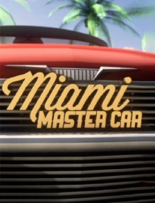 Miami Master Car