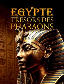 Egypte : trésors des pharaons