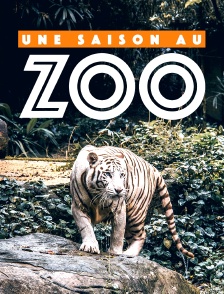 Une saison au zoo