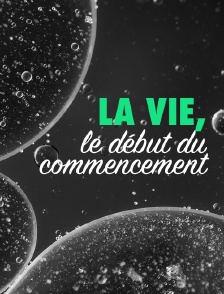 La vie, le début du commencement