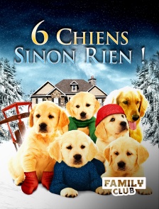Family Club - 6 chiens sinon rien !