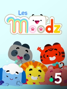 France 5 - Les Moodz