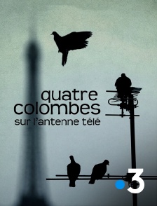 Quatre colombes sur l'antenne télé