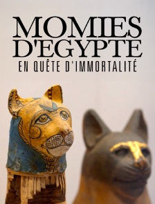 Momies d'Egypte, en quête d'immortalité